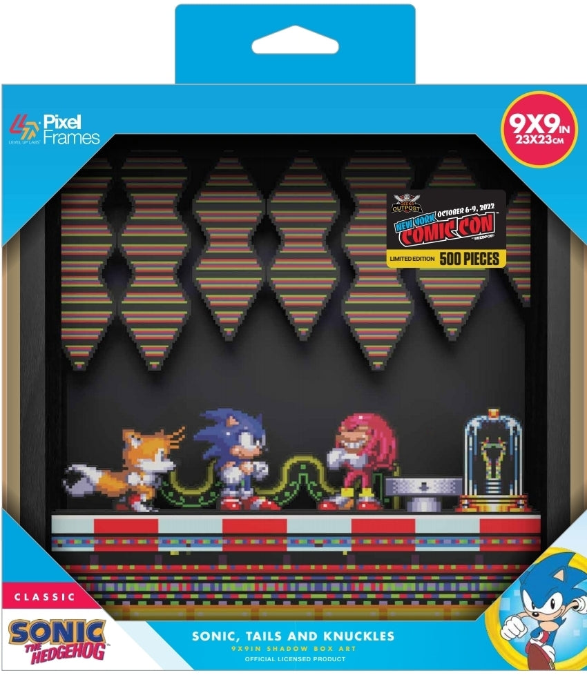 NYCC Sonic 3d Pixel Frame