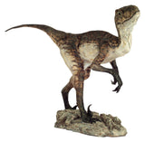 Dinosaurs: VELOCIRAPTOR / DEINONYCHOS 1 (Open Jaw/Closed Jaw) - Life-size Collectible Statue